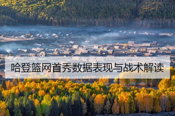 ha-deng-lan-wang-shou-xiu-shu-ju-biao-xian-yu-zhan-shu-jie-du-2-162.jpg