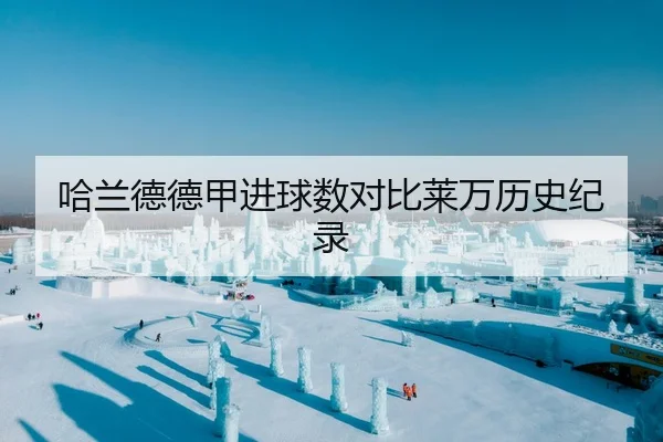 哈兰德德甲进球数对比莱万历史纪录