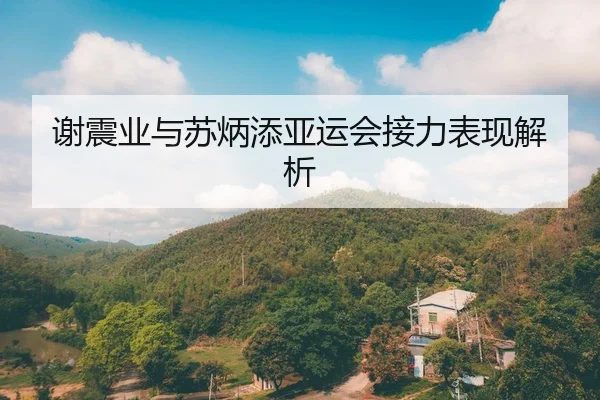 谢震业与苏炳添亚运会接力表现解析